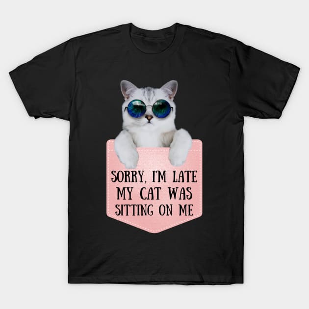 My Cat Was Sitting On Me T-Shirt by Teewyld